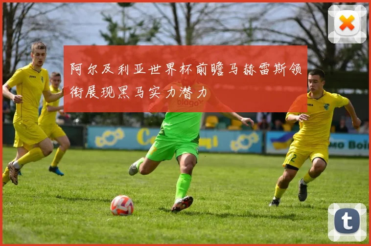 阿尔及利亚世界杯前瞻马赫雷斯领衔展现黑马实力潜力
