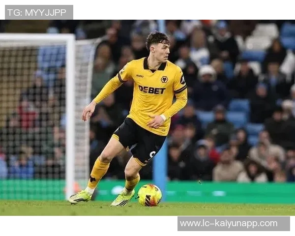 狼队考虑出售拉尔森若转会费接近5500万镑将持开放态度